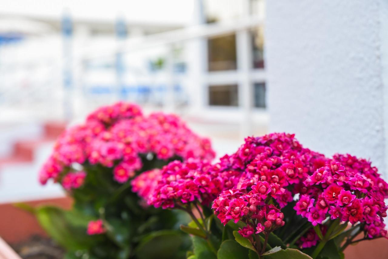 Lagonas Beach Hotel Apartments Faliraki Bagian luar foto
